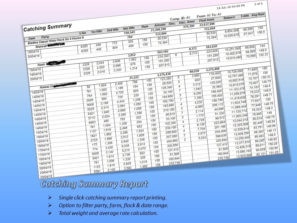 Catching Category Summary