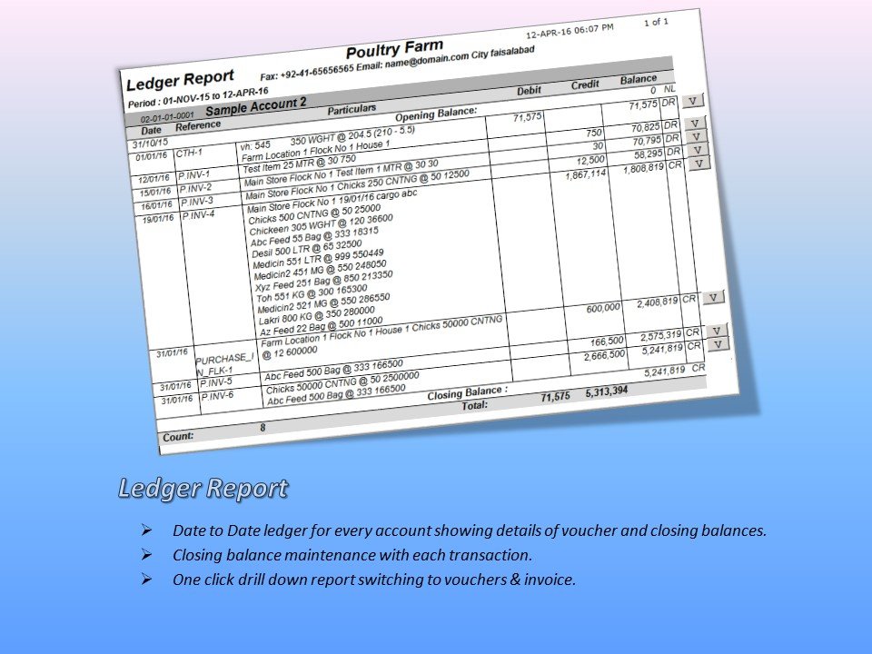 Ledger Statement